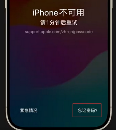 牟定苹果手机密码维修分享iPhone忘记了刚设置的密码 