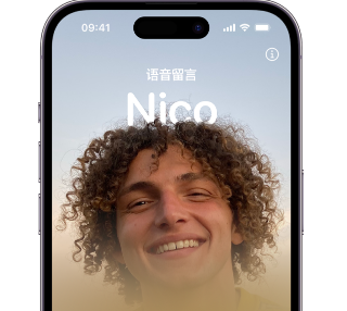 牟定苹果15服务站分享iPhone15实时语音留言开启方法 
