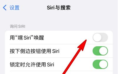 牟定苹果13维修分享iPhone 13怎么唤醒 Siri  